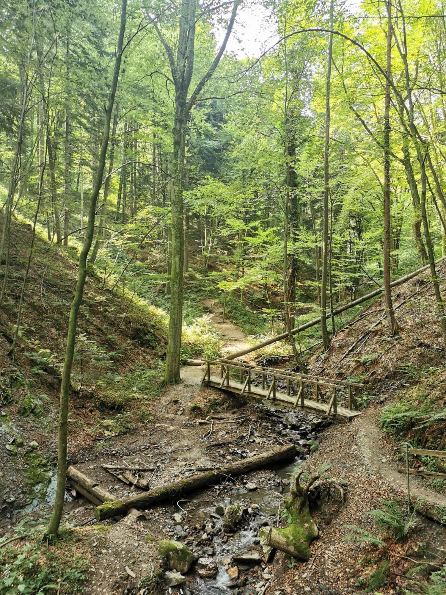 Traumhaftes Ferienhaus Am Lateinberg - 8455 Eibiswald Suedsteiermark Exteriör bild