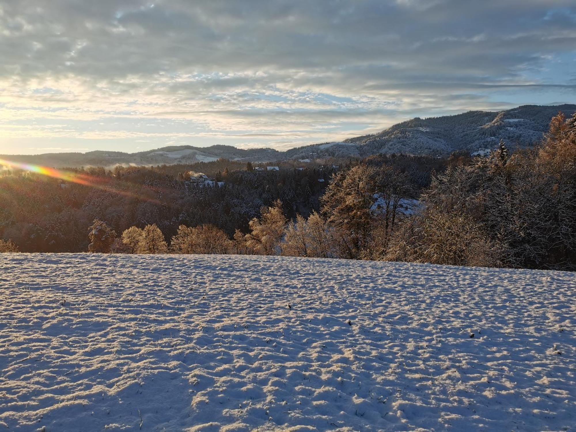 Traumhaftes Ferienhaus Am Lateinberg - 8455 Eibiswald Suedsteiermark Exteriör bild