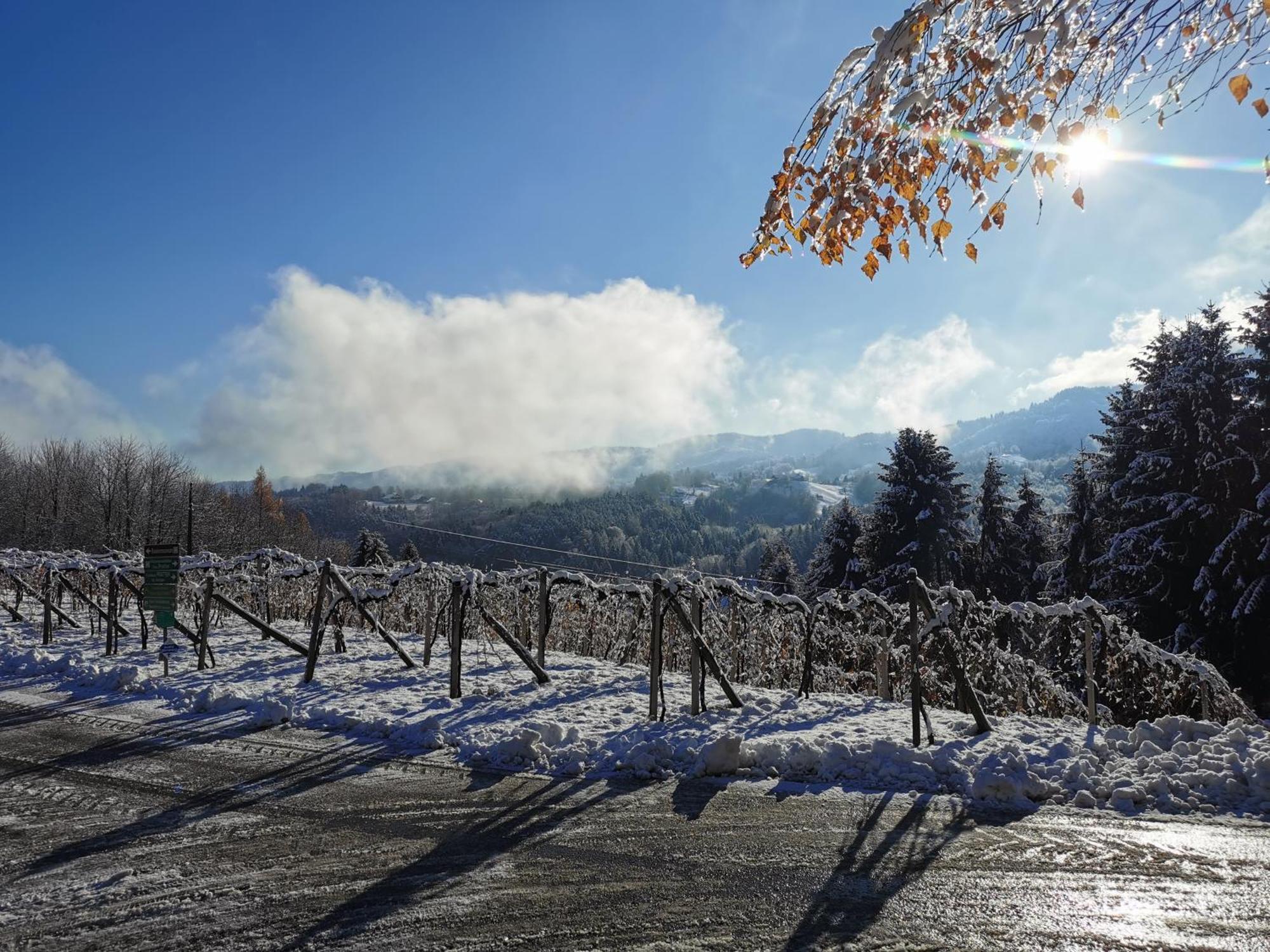 Traumhaftes Ferienhaus Am Lateinberg - 8455 Eibiswald Suedsteiermark Exteriör bild