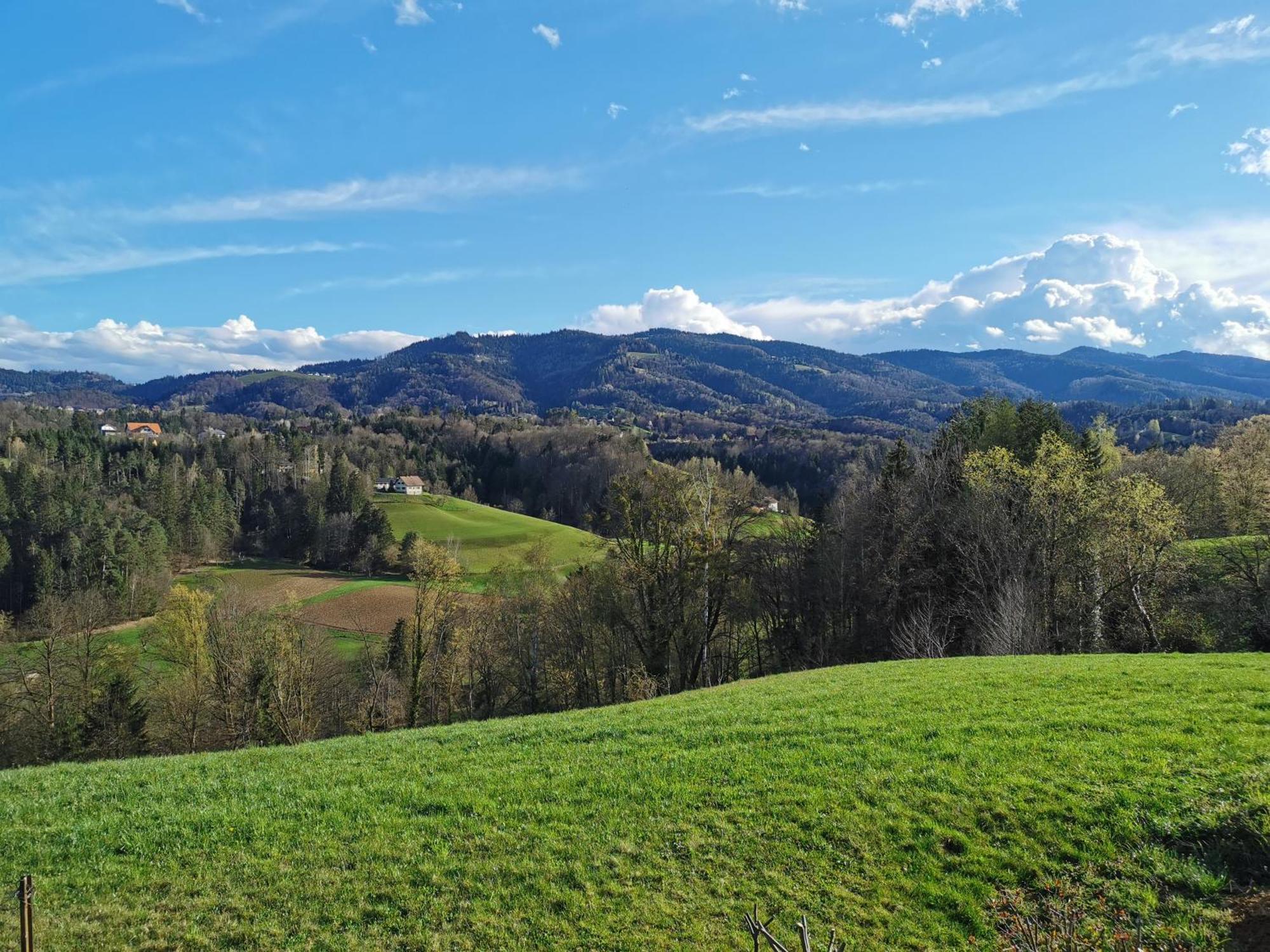 Traumhaftes Ferienhaus Am Lateinberg - 8455 Eibiswald Suedsteiermark Exteriör bild